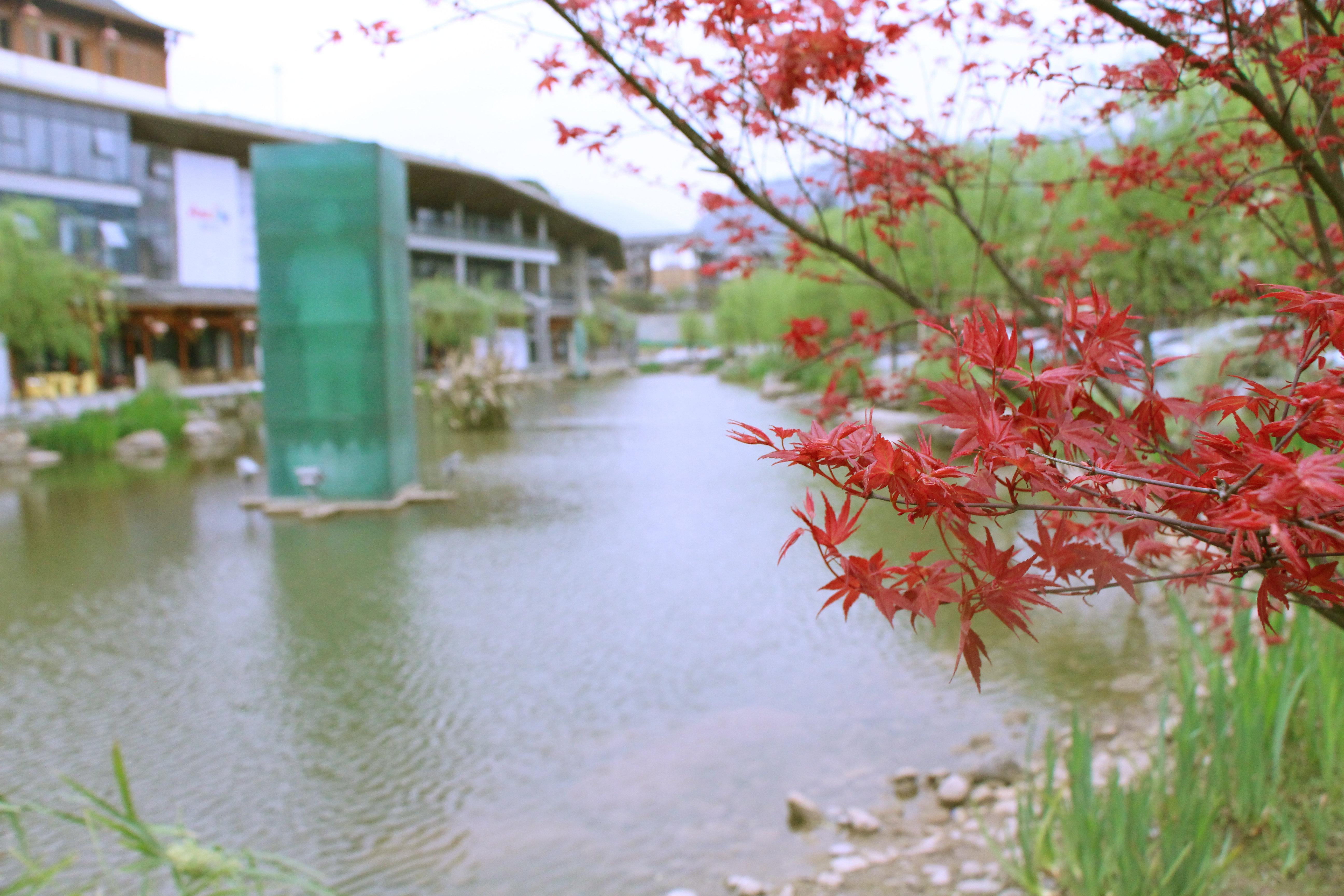Holiday Inn Express Emei Mountain By Ihg Emeishan Εξωτερικό φωτογραφία
