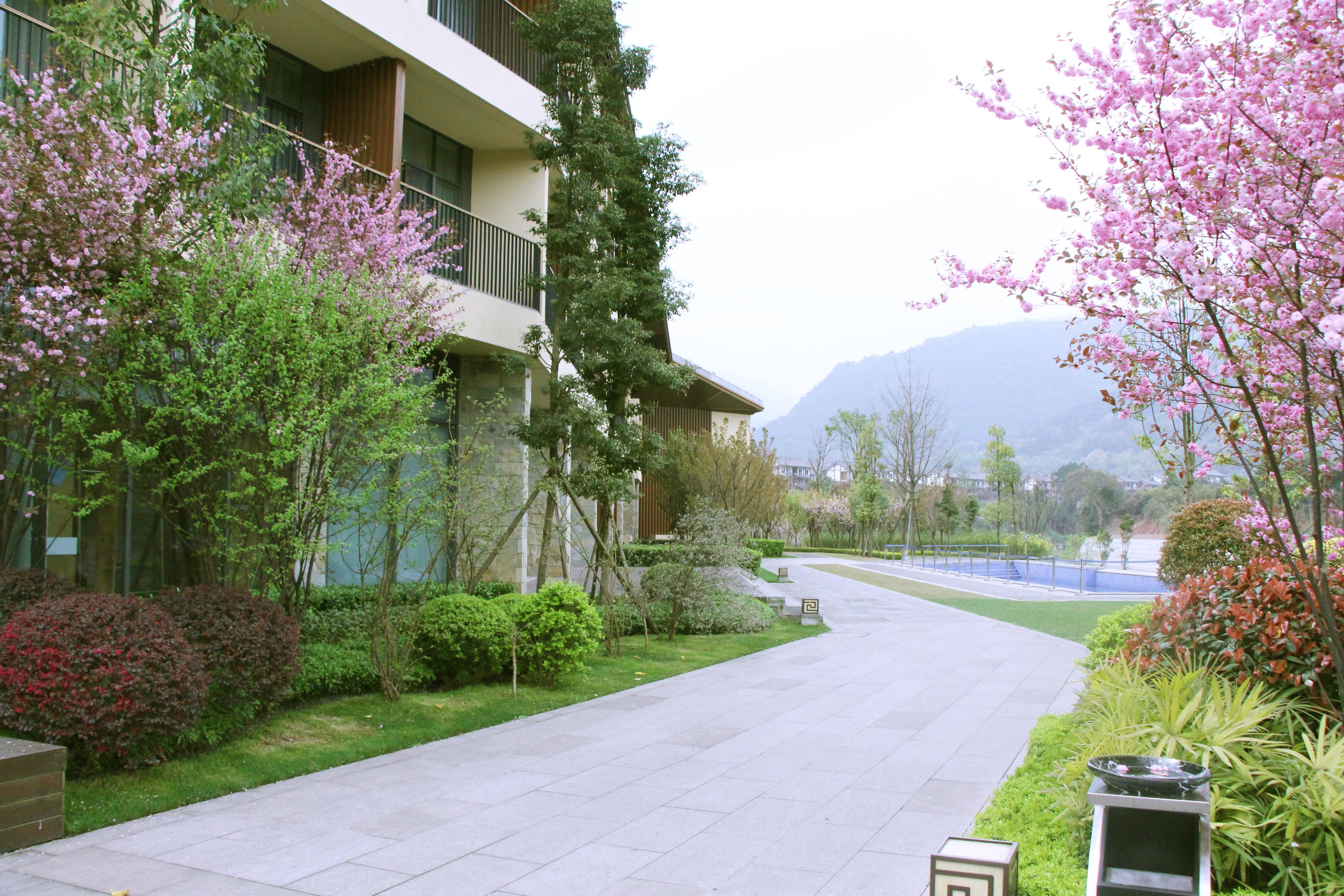 Holiday Inn Express Emei Mountain By Ihg Emeishan Εξωτερικό φωτογραφία