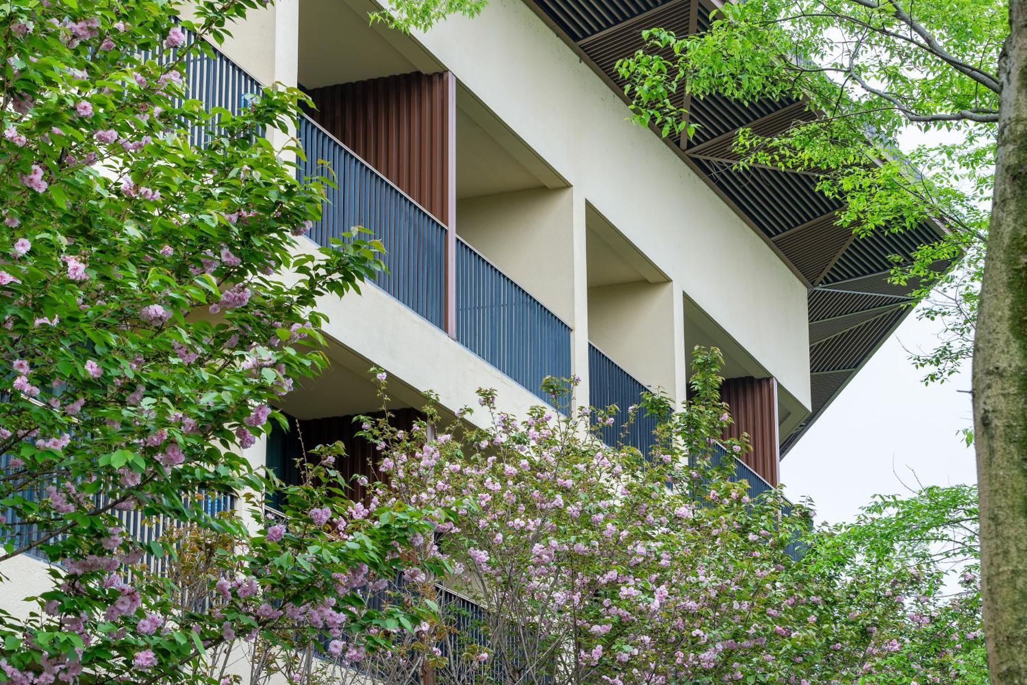 Holiday Inn Express Emei Mountain By Ihg Emeishan Εξωτερικό φωτογραφία